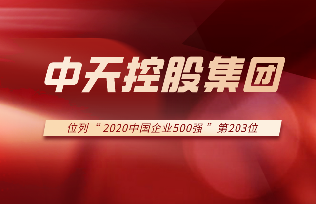 九游老哥集团列2020中国企业500强第203位！