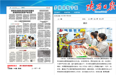 九游老哥西北集团珑樾府项目高温慰问——《陕西日报》